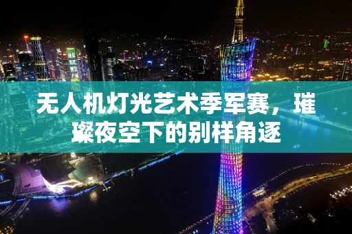 无人机灯光艺术季军赛，璀璨夜空下的别样角逐